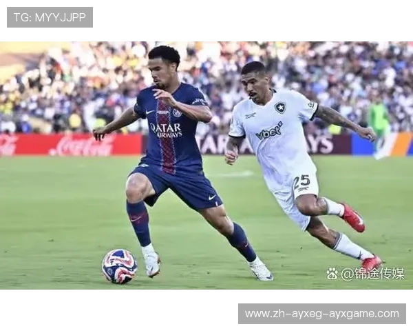 法甲外援的市场回报表现与投资价值对比研究