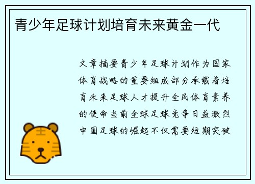 青少年足球计划培育未来黄金一代